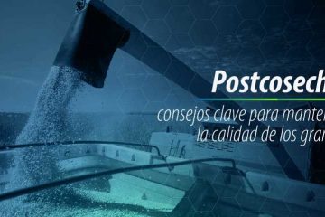 postcosecha granos synagro