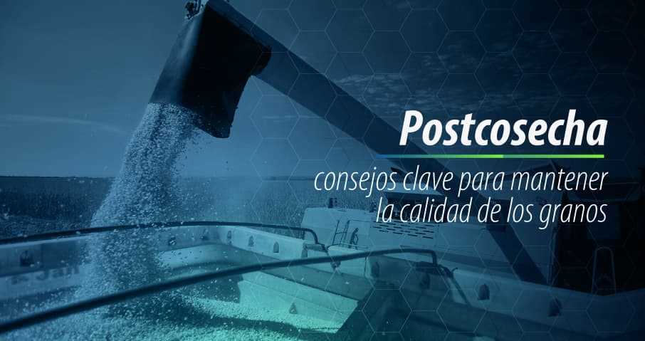 postcosecha granos synagro